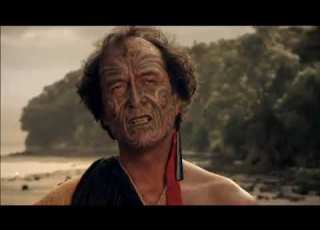 Treaty Of Waitangi What Really Happened