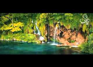 فيديو آيات أداء ناصر السعيد