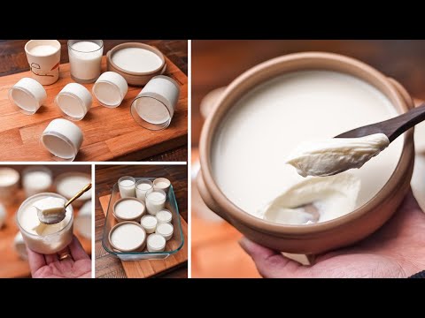 الزبادي البيتي واسرار نجاحه من غير ماكنه زبادي هاتندمو ازاي ماجربتوش الطريقه دي من زمان