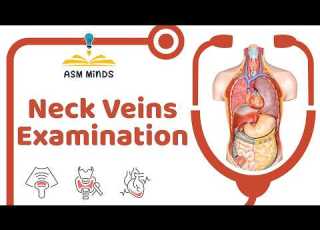 11 Neck Veins Examination General IM Course By Dr Sofy Said