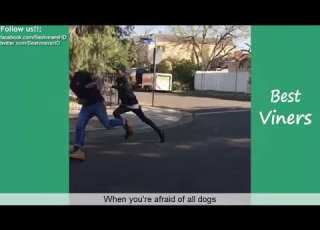  Try Not To Laugh Jojoe Vines