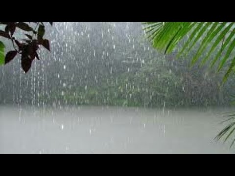 صوت المطر للنوم العميق