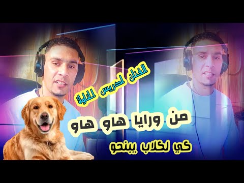 Driss El Khaoua Zwina Bzaf Zwina Official Videos Kilkalab Yenbhou