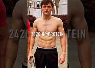  242g PROTEIN DIET