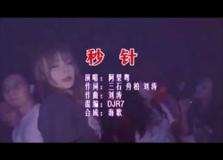 阿梨粤 秒针 DJR7版 KTV 导唱字幕 备有伴奏视频
