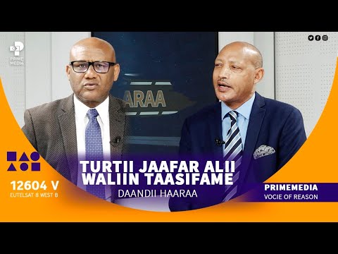 Daandii Haaraa Turtii Jaafar Alii Waliin Taasifame Kutaa 2ffaa Prime Media Daandii Haaraa Turtii Jaafar Alii Waliin Taasifame Kutaa 2ffaa Prime Media