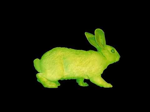 HASSAN YASSER BEIT EL NATASH حسن ياسر بيت النتاش