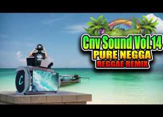Cnv Sound Vol 14 Reggae Remix PURE NEGGA Dj Jhanzkie 2023 Tiktok Viral