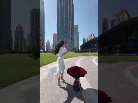 اكبر ورد لشمس الفارس شمس شمس الفارس Explore ترند Dubai