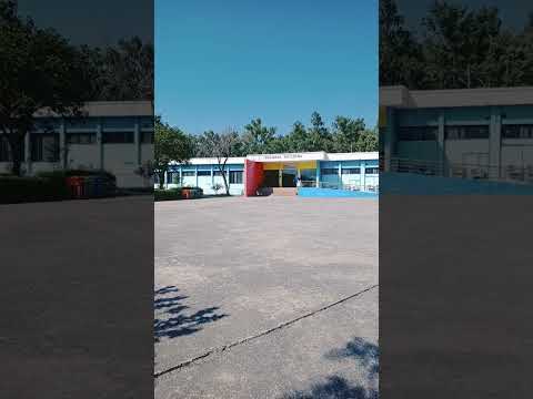 Examination Hall Giki Shorts Universities