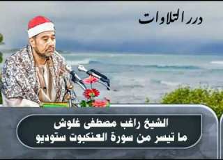 الشيخ راغب مصطفى غلوش ما تيسر من سورة العنكبوت ستوديو