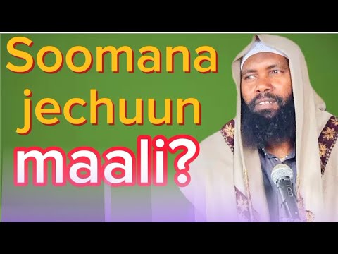 Sheikh Usmaan Durrii SHARI AA ISLAAMA DURA SOMANA JECHUUN MAALI
