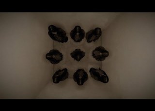 SOFIA ISELLA Josephine Lyric Video