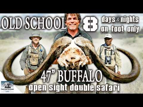 OLD SCHOOL Safari 8 Days On Foot 47 Buffalo Open Sight Double Rifle Free Hand Epic Safari