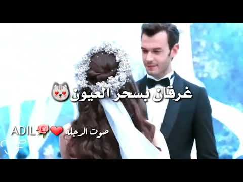 يا بكون الحب جنون اجمل حلات وتساب حب اغني رمنسي