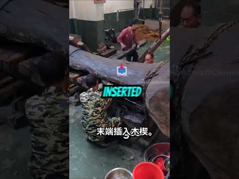 Traditional Old Fashioned Oil Mill Youtubeshorts Usashorts China
