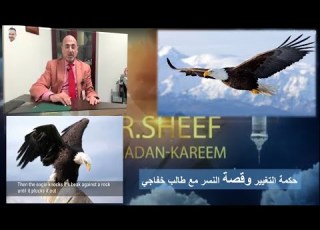  حكمة التغيير و قصة النسر مع طالب خفاجي