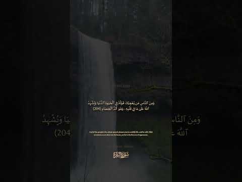 سورة البقرة الآية رقم 204 بصوت مشاري راشد العفاسي مع الترجمة الإنجليزية القران لايك اكسبلور