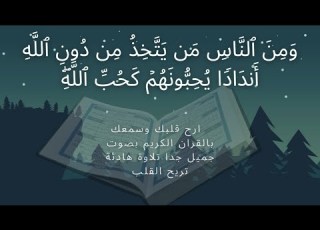 ومن الناس من يتخذ من دون الله أنداد ا يحبونهم كحب الله القارئ مصطفى أبو حذيفة