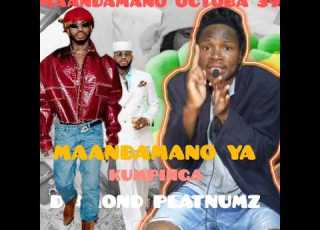 MAANDAMANO YA KUMPINGA DIAMOND PLATNUMZ
