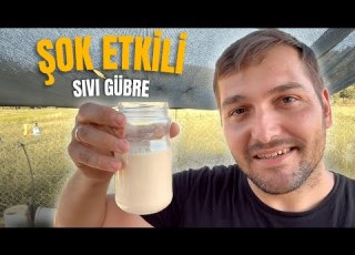  Maya Gübresini 3 Basit Malzeme Ile YAP 10 Kat Verim AL