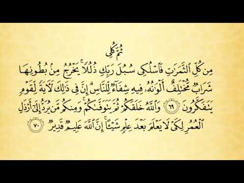 تلاوة سورة النحل من الآية 65 إلى 72 بصوت خادمة كتاب الله الأستاذة أماني أبو المعاطي حفظها الله تلاوة سورة النحل من الآية 65 إلى 72 بصوت خادمة كتاب الله الأستاذة أماني أبو المعاطي حفظها الله