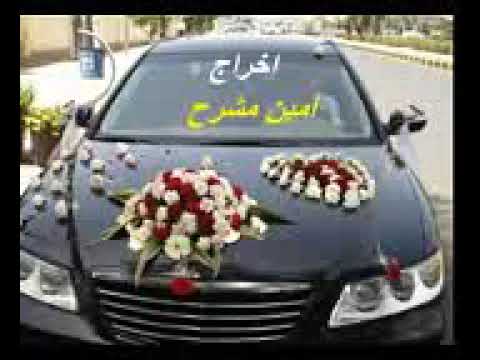 احلى زفه منى علي