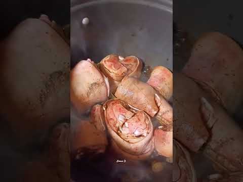 Boiling Big Pata In Soy Sauce Shorts Pata Cookingtime Asmr Satisfyingvideo Viral Inoued