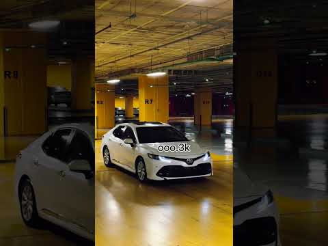 يوم لك ويوم عليك صمخخة ليبي