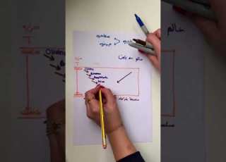 تركيب الصخور النارية 1 سلسلة باون مادة الجيولوجيا