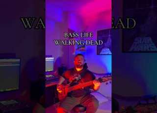 RIFF LIFE Ameliorateband Guitar Guitarcover Shorts Fyp Guitarist Reels Ameliorateband