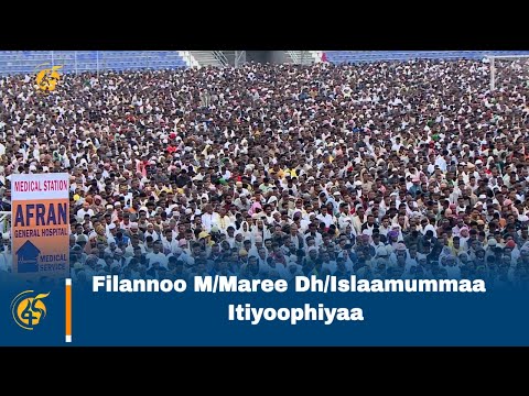 Filannoo M Maree Dh Islaamummaa Itiyoophiyaa