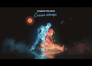 Владимир Пресняков Синяя птица Official Audio