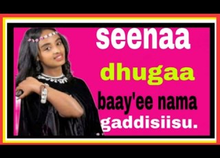 Seenaa Dhugaa Baay Ee Nama Gaddisiisu Keessumattu Ijoolleen Shamaraa Dhaggeeffadha Wa Irraa Hubattu