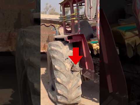 Thank God It Was Not In Amrica Shorts Thank God It Was Not In Amrica Shorts