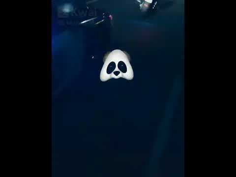 خصمي بكيفه مكتفه