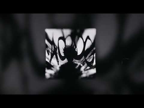 UdieNnx ACIDO ALT VER Over Slowed