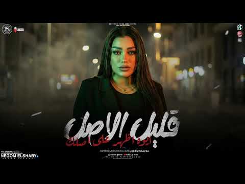 قليل الاصل ايوه اظهر علي اصلك يارتني ماكنت قابلتك دنيا الالفي الجديد مواويل حزينه شعبي 2026