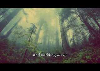 Frodo S Lament For Gandalf