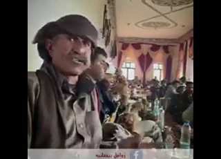 زوامل بيضانيه قيفه