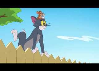  توم وجيري العمل الجماعي 720P HD