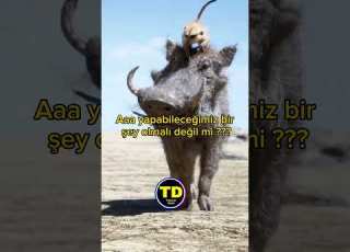  Kötü şeyler Olur Ve Sen Değiştiremezsin Dünya Sana Sırt çevirmisse Sende Dünyaya Sırt çevireceksin