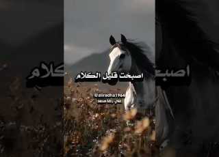 أصبحت قليل الكلام