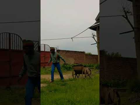 Mwenye Uwanja Wake Ka Ingiya