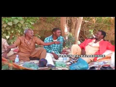 SOORAAN MUSALSALKII UGU YAABKA BADNAA IYO WAXA QABSADAY DAAWO SHEEKADA OO DHAMAYSTIRAN QABKA WAX