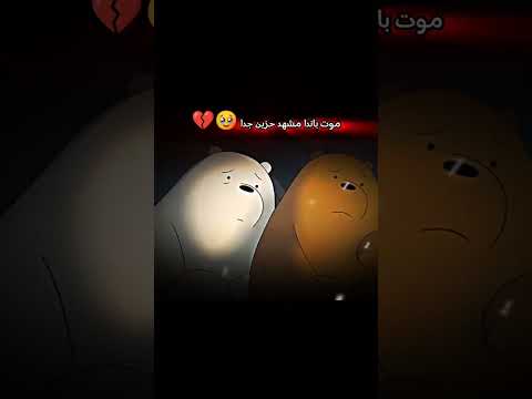 الحلقه الاخيره من الدببه الثلاثه