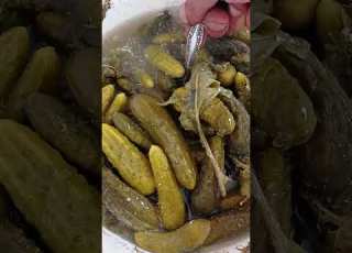 Огірки закуска відро квашених