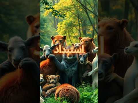 تحت حكم الأسد العادل وانتشرت روح التعاون