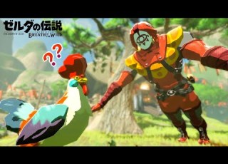 検証 イーガ団はコッコを盗むのか まさかの衝撃の結末に ゼルダの伝説ブレスオブザワイルド Botw
