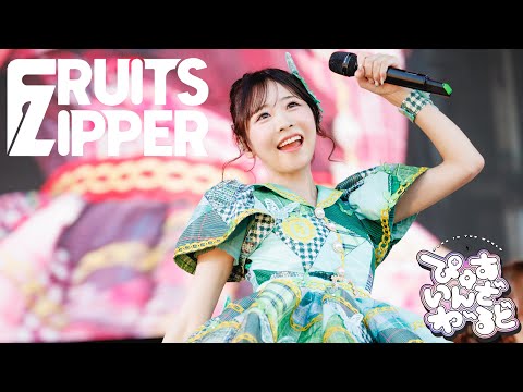 ライブ映像 FRUITS ZIPPER ぴゅあいんざわーるど 2025 05 03 JAPAN JAM 2025 蘇我スポーツ公園